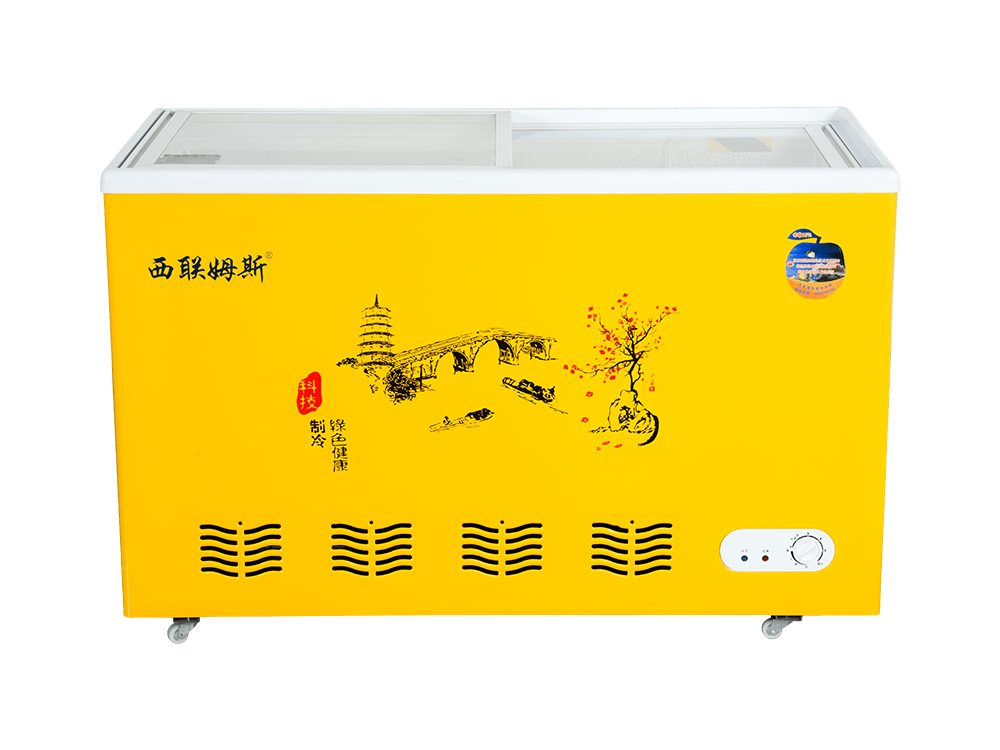 Glass Door Type Freezer